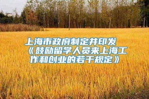 上海市政府制定并印发《鼓励留学人员来上海工作和创业的若干规定》