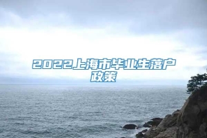 2022上海市毕业生落户政策
