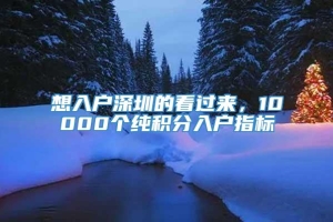 想入户深圳的看过来，10000个纯积分入户指标_重复