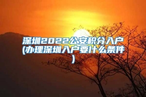 深圳2022公安积分入户(办理深圳入户要什么条件)