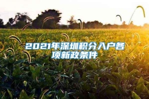 2021年深圳积分入户各项新政条件