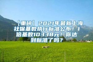 【重磅】2021年最新上海社保基数执行标准公布！1倍基数10338元！你达到标准了吗？