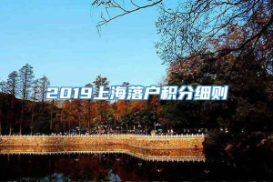 2019上海落户积分细则