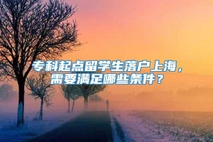 专科起点留学生落户上海，需要满足哪些条件？