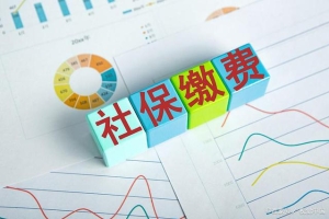 2022年上海社保基数上调为11396，缴费标准有什么变化