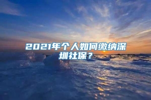 2021年个人如何缴纳深圳社保？