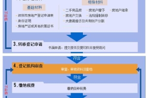 应届生深圳落户流程和材料(2022应届毕业生入户深圳)