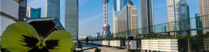 2020上海落户政策介绍，五类人可直接拿到上海户口！