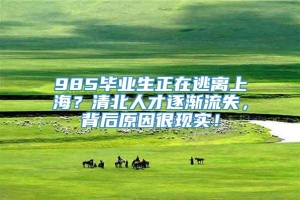 985毕业生正在逃离上海？清北人才逐渐流失，背后原因很现实！