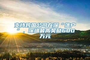 支持跨国公司在深“落户”，深圳最高奖励600万元