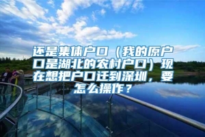 还是集体户口（我的原户口是湖北的农村户口）现在想把户口迁到深圳，要怎么操作？
