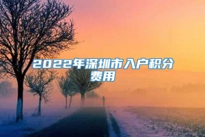 2022年深圳市入户积分费用