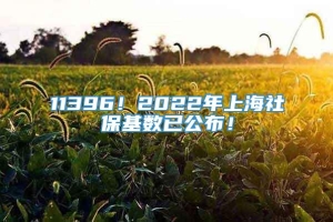 11396！2022年上海社保基数已公布！