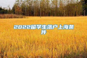2022留学生落户上海条件