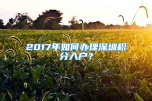 2017年如何办理深圳积分入户？