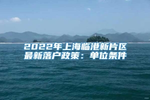 2022年上海临港新片区最新落户政策：单位条件