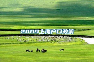 2009上海户口政策