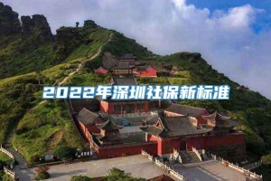 2022年深圳社保新标准