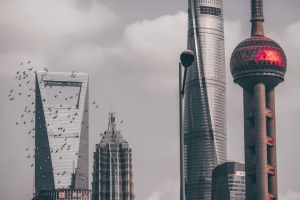 「特写」上海如何吸引外商投资？秘诀不仅仅是跨国公司集体“打CALL”