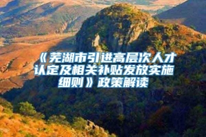 《芜湖市引进高层次人才认定及相关补贴发放实施细则》政策解读