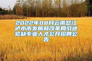 2022年08月云南怒江泸水市发展和改革局引进紧缺专业人才公开招聘公告