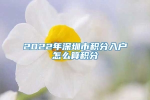 2022年深圳市积分入户怎么算积分