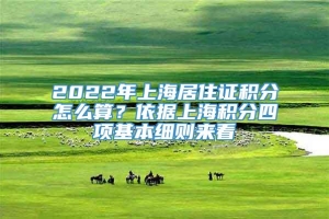 2022年上海居住证积分怎么算？依据上海积分四项基本细则来看