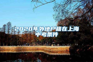 2020年外地户籍在上海中考条件