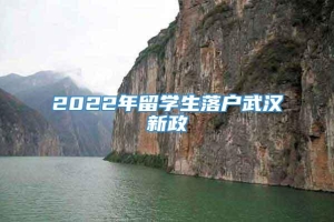 2022年留学生落户武汉新政