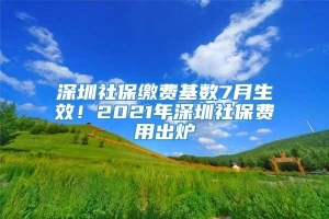 深圳社保缴费基数7月生效！2021年深圳社保费用出炉