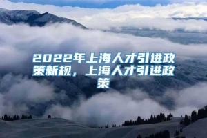 2022年上海人才引进政策新规，上海人才引进政策