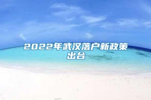2022年武汉落户新政策出台